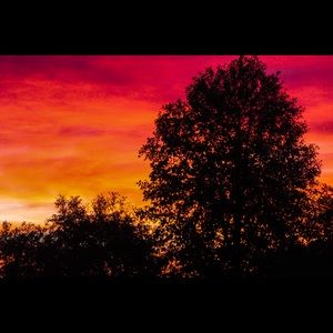 Meet your Posher, Ethan